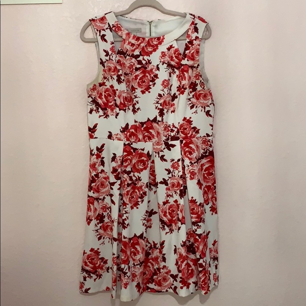 Floral Fit and Flare Dress